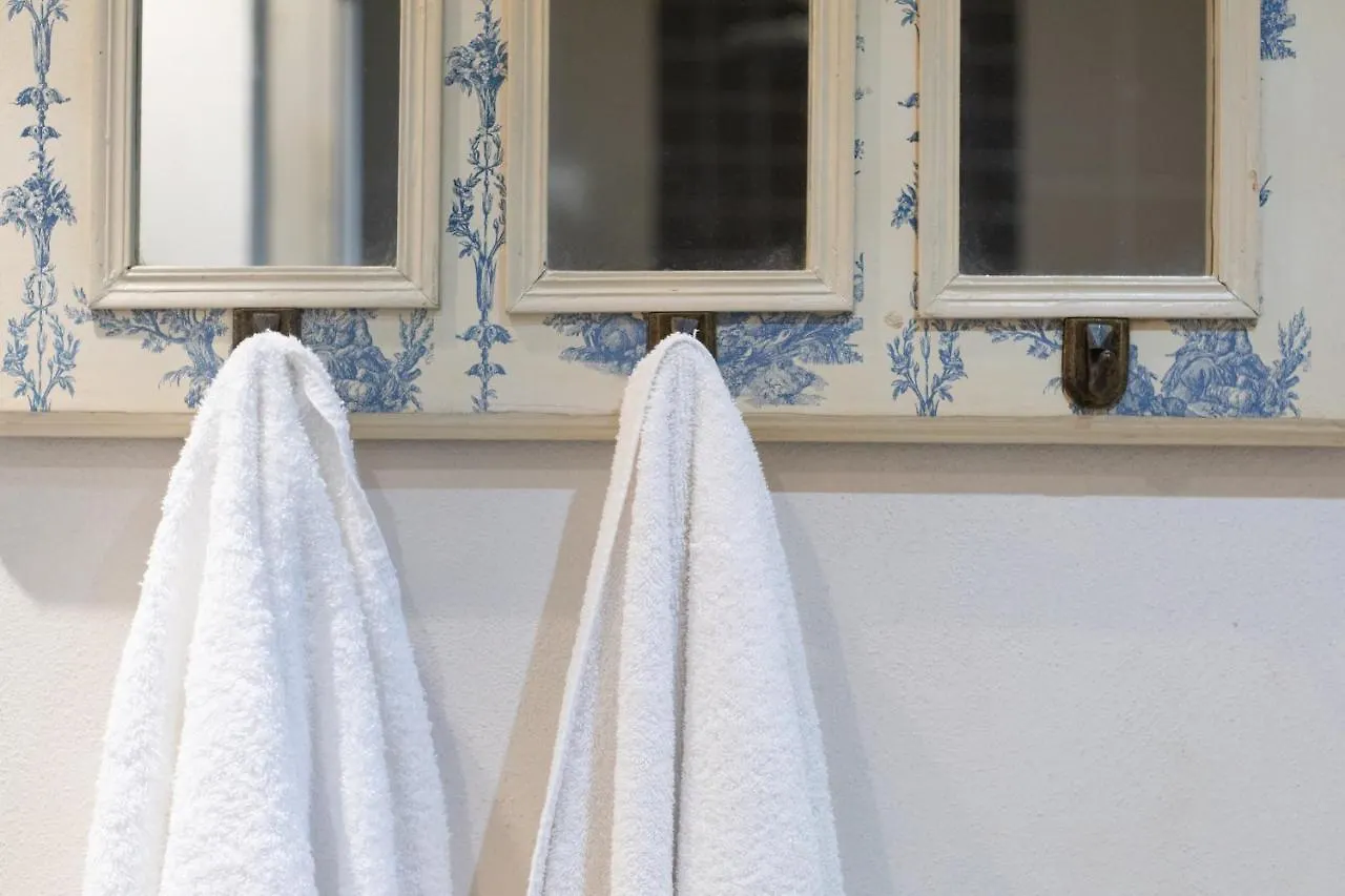 Venus Luxury Apartment In Center Town Lucca