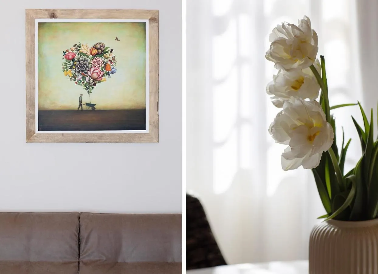Venus Luxury Apartment In Center Town Lucca Italy